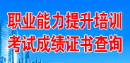 職業(yè)能力提升培訓(xùn)考試成績證書查詢
